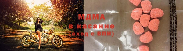 эйфоретик Аркадак