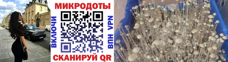 Псилоцибиновые грибы Magic Shrooms  Купить где  Тихорецк 